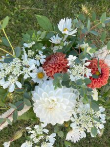 bouquet aout dahlia cosmos orlaya eucalyptus