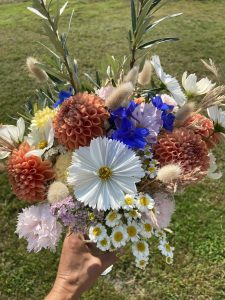 bouquet septembre cosmos dahlia camomille dianthus argousier