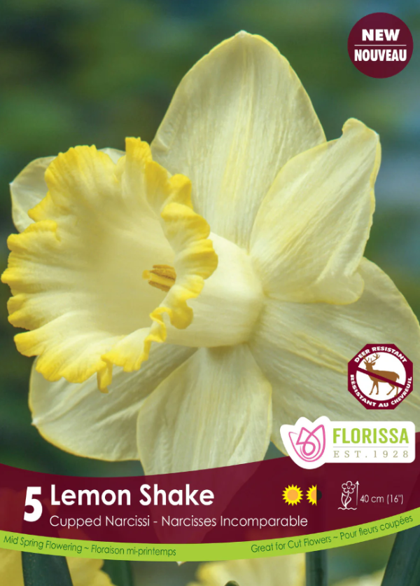 Narcisse_Lemon_shake