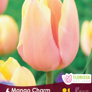 Tulipe_Mango_Charm