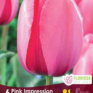 Tulipe_Pink_Impression