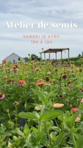 atelier_semis